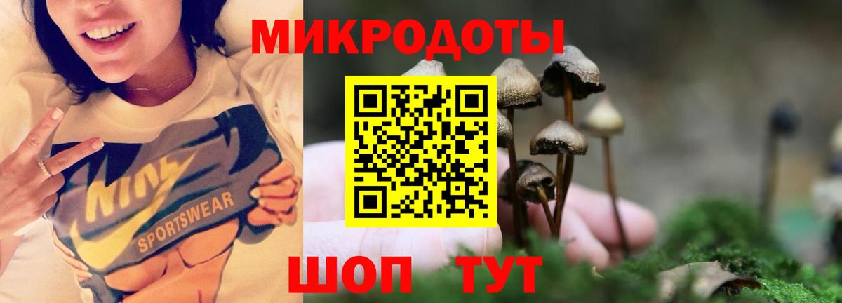 Галлюциногенные грибы мицелий  Вход с VPN  Великие Луки 